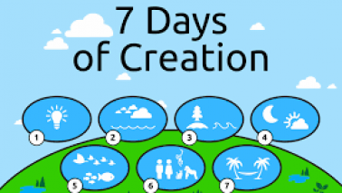 What did God create on day 6?