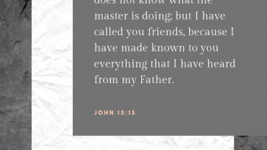 John 15:15